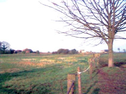 Swineshead History Lincolnshire Places Photo 8